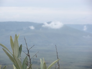 Looking out over the Rift Valley from Mount Longonnot